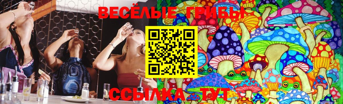 Псилоцибиновые грибы мухоморы  Вход с VPN  Йошкар-Ола 